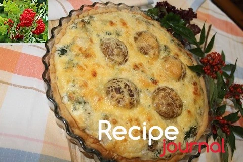 Открытый пирог (КИШ) с курицей и грибами - рецепт французской выпечки