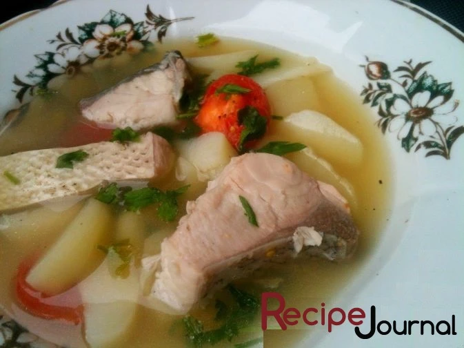 Уха из толстолобика - рецепт супа из рыбы
